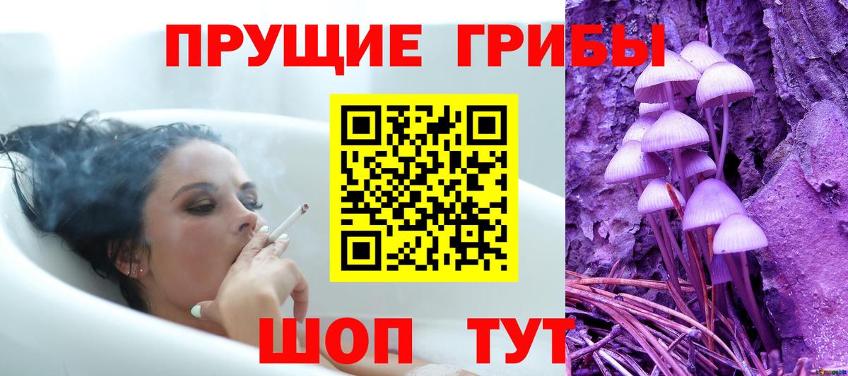 Галлюциногенные грибы Psilocybine cubensis  Вход с VPN  Кызыл 